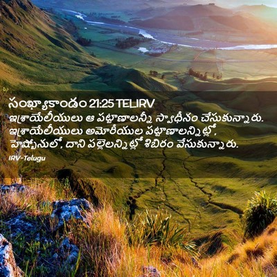 Picture 02 - సంఖ్యాకాండం 21:25 TELIRV - ఇశ్రాయేలీయులు ఆ - Bible Verse Picture