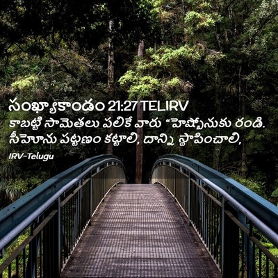 Picture 02 - సంఖ్యాకాండం 21:27 TELIRV - కాబట్టి సామెతలు - Bible Verse Picture