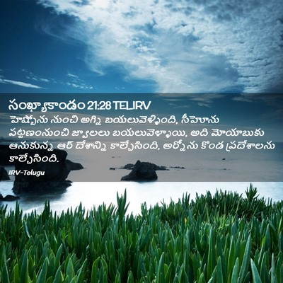 Picture 02 - సంఖ్యాకాండం 21:28 TELIRV - హెష్బోను నుంచి - Bible Verse Picture