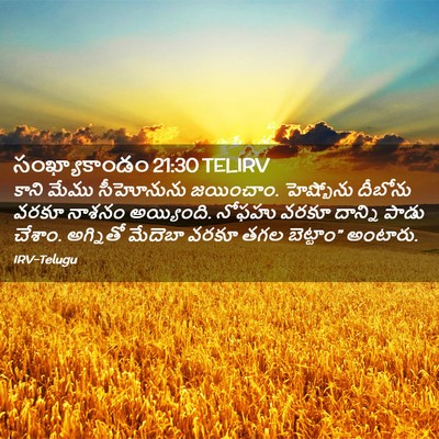 Picture 02 - సంఖ్యాకాండం 21:30 TELIRV - కాని మేము - Bible Verse Picture
