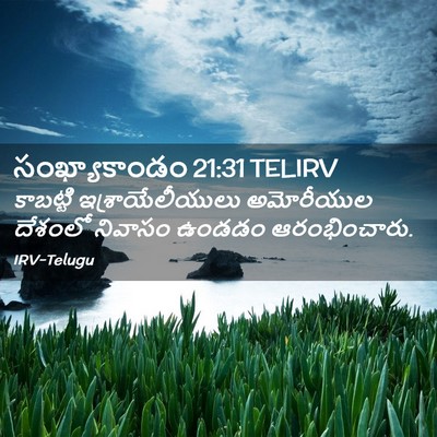 Picture 02 - సంఖ్యాకాండం 21:31 TELIRV - కాబట్టి - Bible Verse Picture