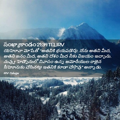 Picture 02 - సంఖ్యాకాండం 21:34 TELIRV - యెహోవా మోషేతో - Bible Verse Picture