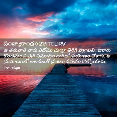 Picture 02 - సంఖ్యాకాండం 21:4 TELIRV - ఆ తరువాత వారు - Bible Verse Picture
