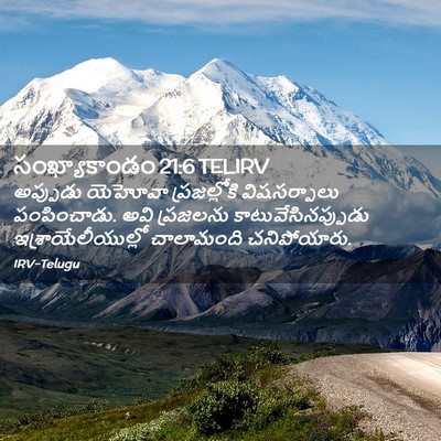 Picture 02 - సంఖ్యాకాండం 21:6 TELIRV - అప్పుడు యెహోవా - Bible Verse Picture