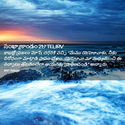 Picture 02 - సంఖ్యాకాండం 21:7 TELIRV - కాబట్టి ప్రజలు - Bible Verse Picture