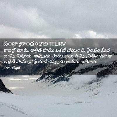 Picture 02 - సంఖ్యాకాండం 21:9 TELIRV - కాబట్టి మోషే, - Bible Verse Picture