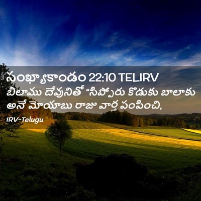 Picture 02 - సంఖ్యాకాండం 22:10 TELIRV - బిలాము దేవునితో - Bible Verse Picture