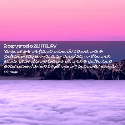 Picture 02 - సంఖ్యాకాండం 22:11 TELIRV - ‘చూడు, ఒక జాతి - Bible Verse Picture