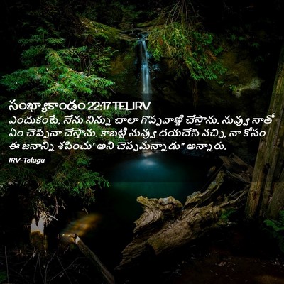 Picture 02 - సంఖ్యాకాండం 22:17 TELIRV - ఎందుకంటే, నేను - Bible Verse Picture