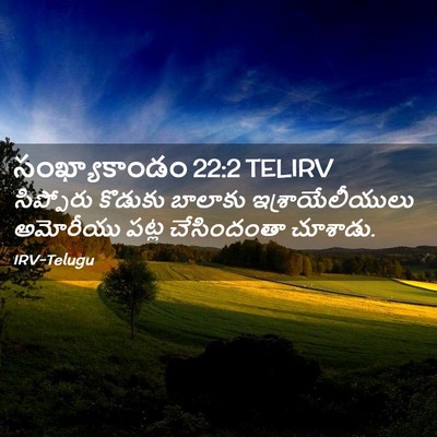 Picture 02 - సంఖ్యాకాండం 22:2 TELIRV - సిప్పోరు కొడుకు - Bible Verse Picture