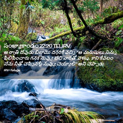 Picture 02 - సంఖ్యాకాండం 22:20 TELIRV - ఆ రాత్రి దేవుడు - Bible Verse Picture