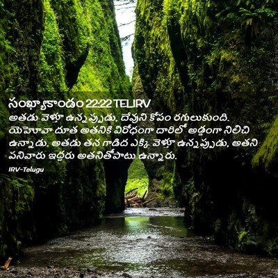 Picture 02 - సంఖ్యాకాండం 22:22 TELIRV - అతడు వెళ్తూ - Bible Verse Picture