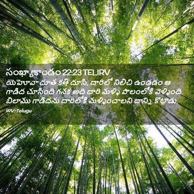 Picture 02 - సంఖ్యాకాండం 22:23 TELIRV - యెహోవా దూత కత్తి - Bible Verse Picture