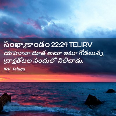 Picture 02 - సంఖ్యాకాండం 22:24 TELIRV - యెహోవా దూత అటూ ఇటూ - Bible Verse Picture