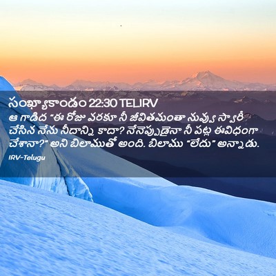 Picture 02 - సంఖ్యాకాండం 22:30 TELIRV - ఆ గాడిద “ఈ రోజు - Bible Verse Picture
