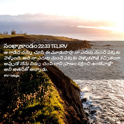 Picture 02 - సంఖ్యాకాండం 22:33 TELIRV - ఆ గాడిద నన్ను చూసి - Bible Verse Picture