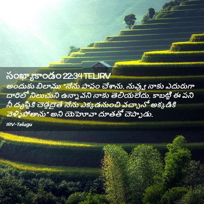 Picture 02 - సంఖ్యాకాండం 22:34 TELIRV - అందుకు బిలాము - Bible Verse Picture