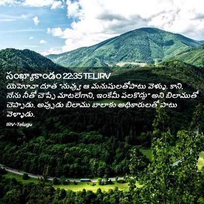 Picture 02 - సంఖ్యాకాండం 22:35 TELIRV - యెహోవా దూత - Bible Verse Picture