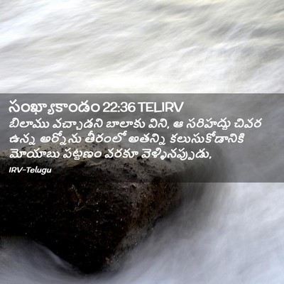 Picture 02 - సంఖ్యాకాండం 22:36 TELIRV - బిలాము వచ్చాడని - Bible Verse Picture