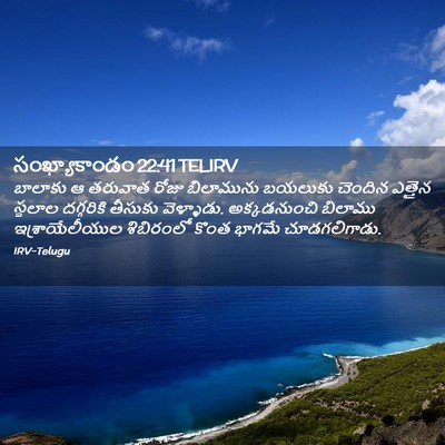 Picture 02 - సంఖ్యాకాండం 22:41 TELIRV - బాలాకు ఆ తరువాత - Bible Verse Picture