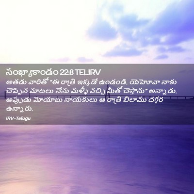 Picture 02 - సంఖ్యాకాండం 22:8 TELIRV - అతడు వారితో “ఈ - Bible Verse Picture