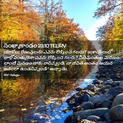 Picture 02 - సంఖ్యాకాండం 23:10 TELIRV - యాకోబు రేణువులను - Bible Verse Picture