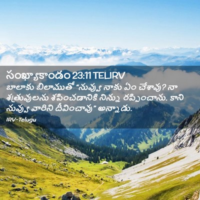 Picture 02 - సంఖ్యాకాండం 23:11 TELIRV - బాలాకు బిలాముతో - Bible Verse Picture
