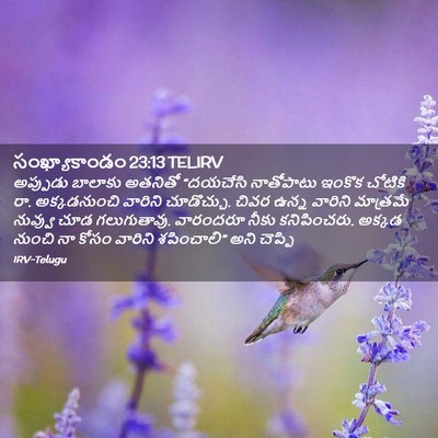 Picture 02 - సంఖ్యాకాండం 23:13 TELIRV - అప్పుడు బాలాకు - Bible Verse Picture