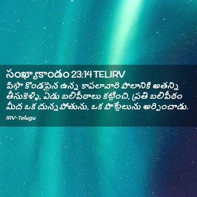 Picture 02 - సంఖ్యాకాండం 23:14 TELIRV - పిస్గా కొండపైన - Bible Verse Picture