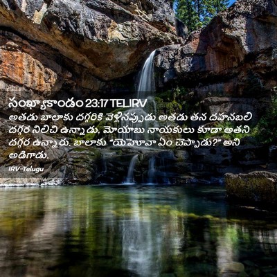 Picture 02 - సంఖ్యాకాండం 23:17 TELIRV - అతడు బాలాకు - Bible Verse Picture