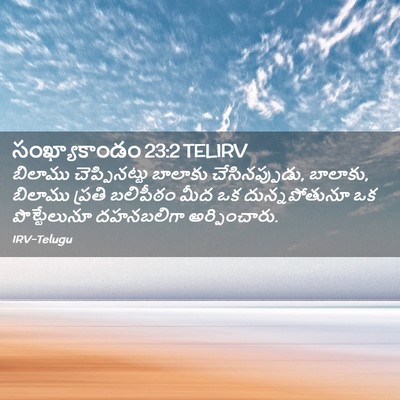 Picture 02 - సంఖ్యాకాండం 23:2 TELIRV - బిలాము - Bible Verse Picture