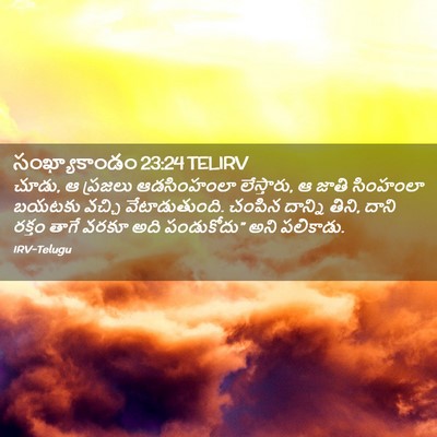 Picture 02 - సంఖ్యాకాండం 23:24 TELIRV - చూడు, ఆ ప్రజలు - Bible Verse Picture