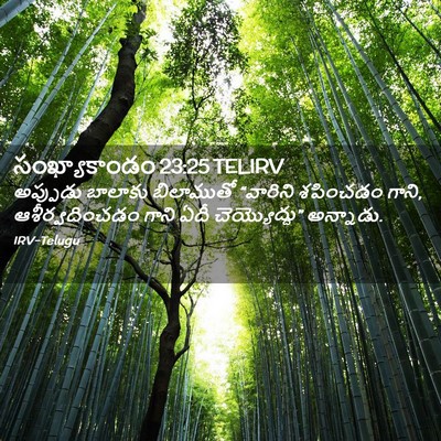 Picture 02 - సంఖ్యాకాండం 23:25 TELIRV - అప్పుడు బాలాకు - Bible Verse Picture