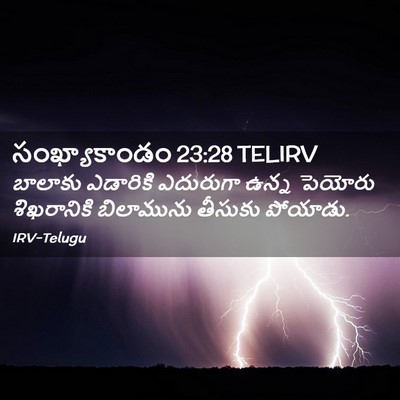 Picture 02 - సంఖ్యాకాండం 23:28 TELIRV - బాలాకు ఎడారికి - Bible Verse Picture
