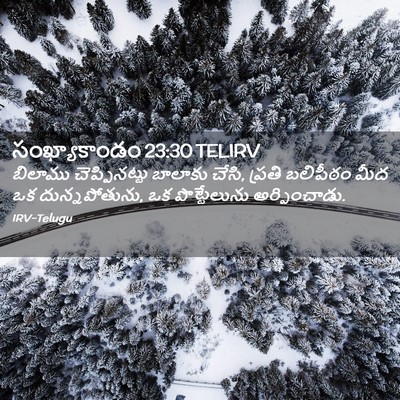 Picture 02 - సంఖ్యాకాండం 23:30 TELIRV - బిలాము - Bible Verse Picture