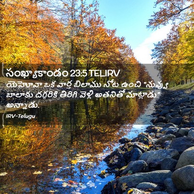 Picture 02 - సంఖ్యాకాండం 23:5 TELIRV - యెహోవా ఒక వార్త - Bible Verse Picture