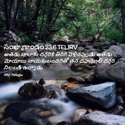 Picture 02 - సంఖ్యాకాండం 23:6 TELIRV - అతడు బాలాకు - Bible Verse Picture