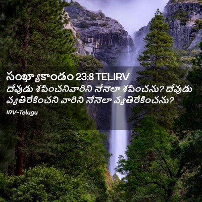 Picture 02 - సంఖ్యాకాండం 23:8 TELIRV - దేవుడు - Bible Verse Picture