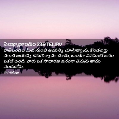 Picture 02 - సంఖ్యాకాండం 23:9 TELIRV - రాతిబండల మీద - Bible Verse Picture
