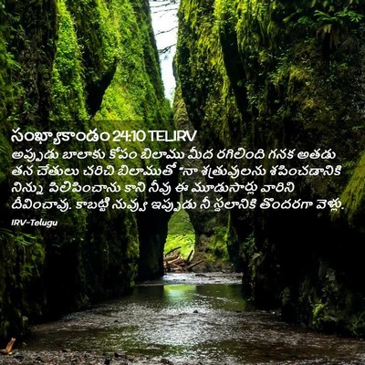 Picture 02 - సంఖ్యాకాండం 24:10 TELIRV - అప్పుడు బాలాకు - Bible Verse Picture