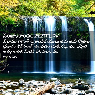 Picture 02 - సంఖ్యాకాండం 24:2 TELIRV - బిలాము కళ్ళెత్తి - Bible Verse Picture