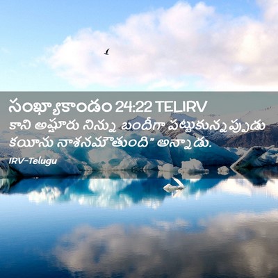 Picture 02 - సంఖ్యాకాండం 24:22 TELIRV - కాని అష్షూరు - Bible Verse Picture