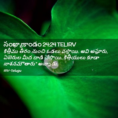 Picture 02 - సంఖ్యాకాండం 24:24 TELIRV - కిత్తీము తీరం - Bible Verse Picture