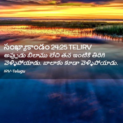 Picture 02 - సంఖ్యాకాండం 24:25 TELIRV - అప్పుడు బిలాము - Bible Verse Picture