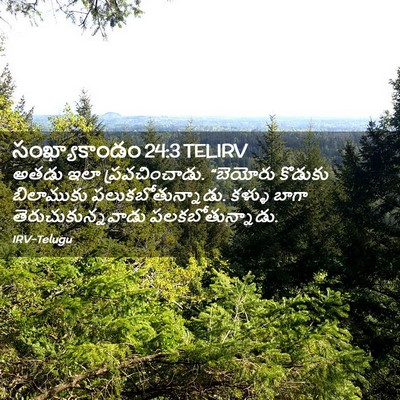 Picture 02 - సంఖ్యాకాండం 24:3 TELIRV - అతడు ఇలా - Bible Verse Picture