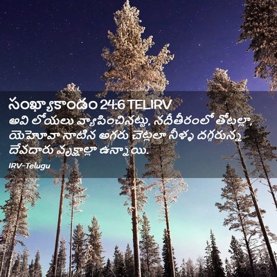 Picture 02 - సంఖ్యాకాండం 24:6 TELIRV - అవి లోయలు - Bible Verse Picture