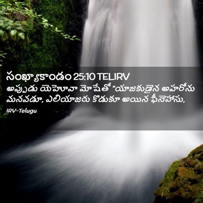 Picture 02 - సంఖ్యాకాండం 25:10 TELIRV - అప్పుడు యెహోవా - Bible Verse Picture