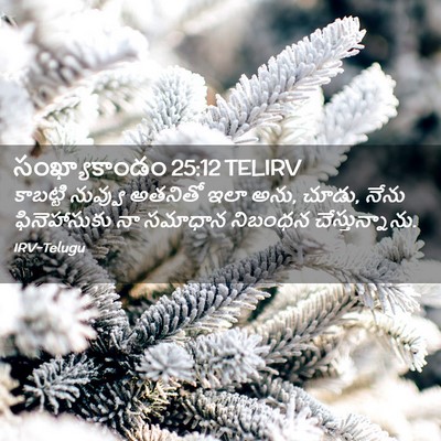 Picture 02 - సంఖ్యాకాండం 25:12 TELIRV - కాబట్టి నువ్వు - Bible Verse Picture