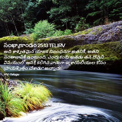 Picture 02 - సంఖ్యాకాండం 25:13 TELIRV - అది శాశ్వతమైన - Bible Verse Picture