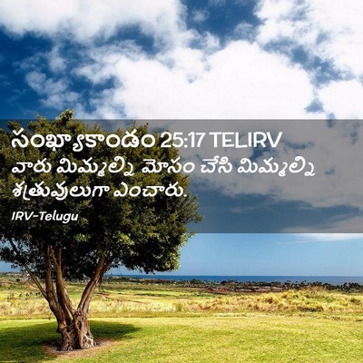 Picture 02 - సంఖ్యాకాండం 25:17 TELIRV - వారు మిమ్మల్ని - Bible Verse Picture